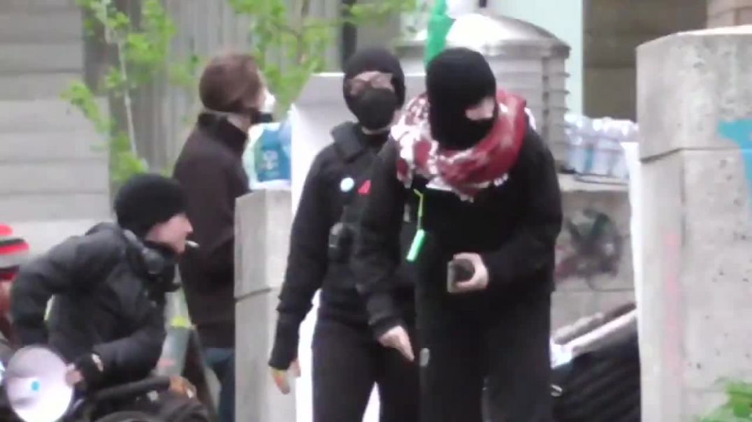 Portland Adults Walk Around With Dogs In All Black While Being Called Antifa Far Left