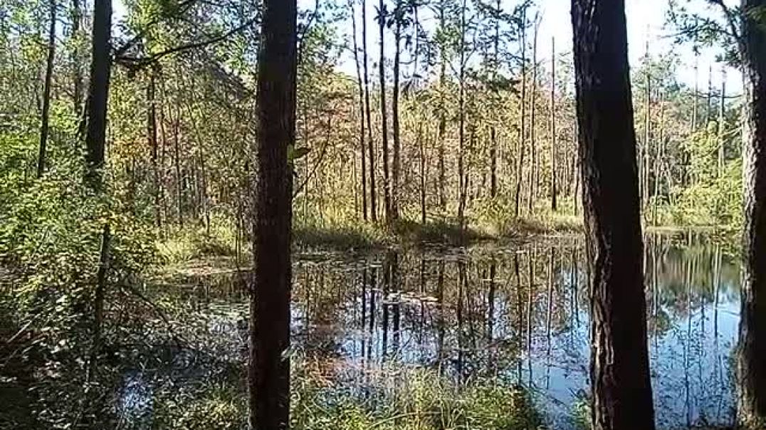 ⁣How Realtor.com Move.com and Homestore.com Hires Profiteering Felon jewish Invader Traffickers In CA