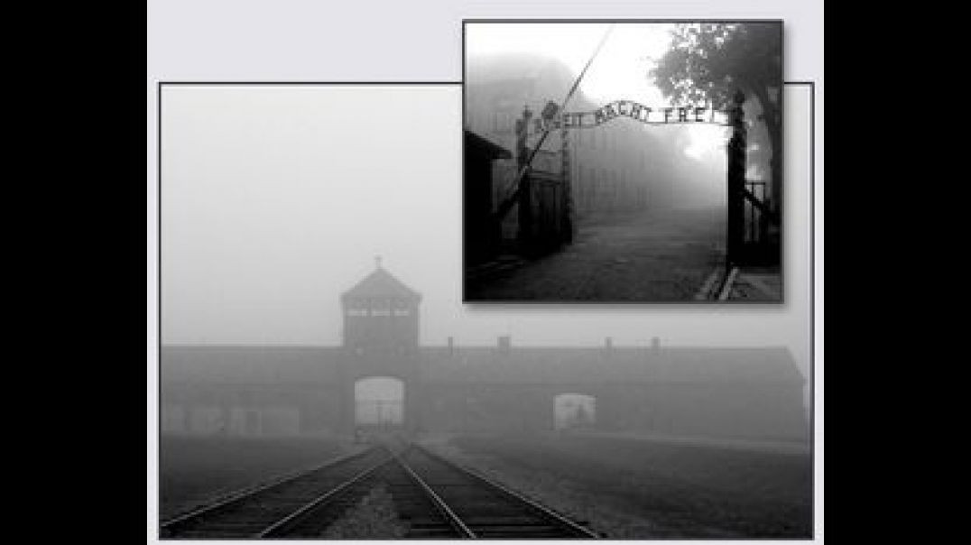 WHAT ANALYSTS SAY ABOUT THE HOMICIDAL 🚪 GAS CHAMBERS IN GERMANY DURING WW2