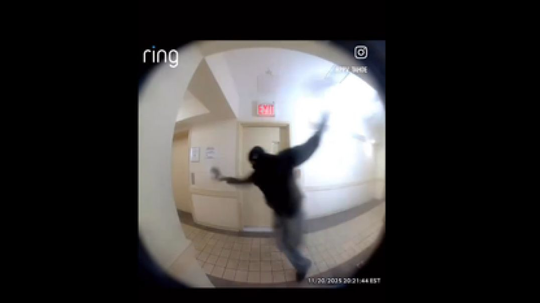 TOBY TASERED ⚡ THROUGH DOOR