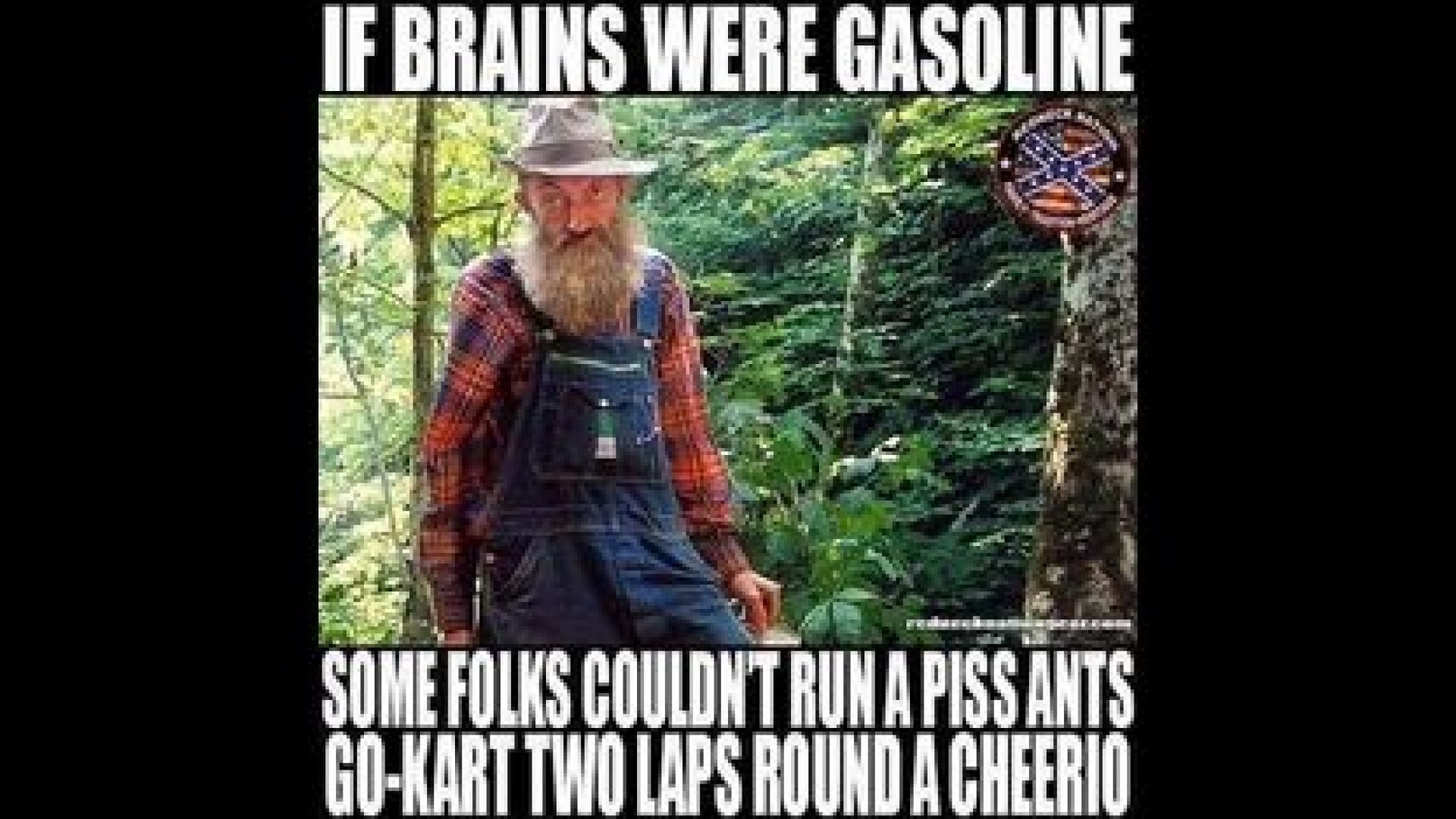 HEY LOOK 💥 FOUND ANOTHER DEMOCRAT❗