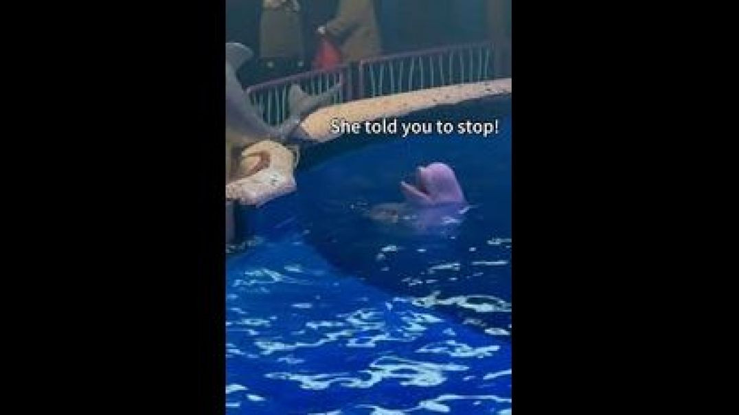 ⁣NO SMOKING 🚭 AT DALIAN OCEAN WORLD