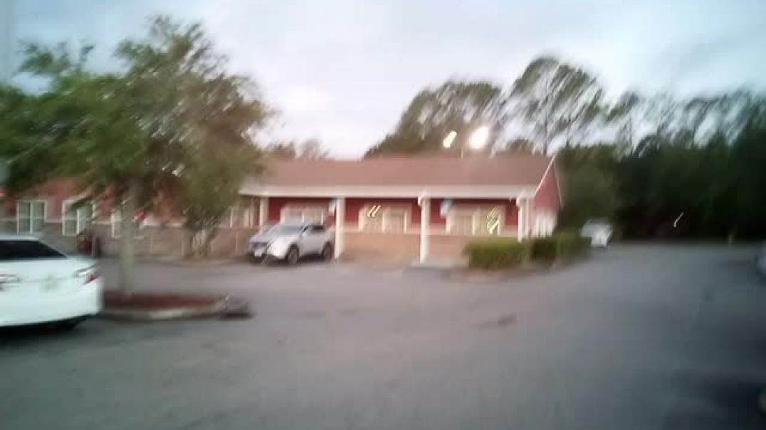 ⁣Response to attack by unwanted criminal black female nigger driver!