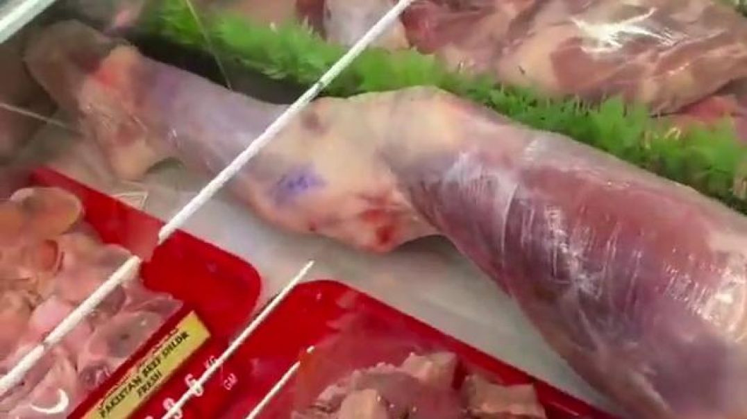 HMMM 🍖 THAT IS AN ODD PIECE OF MEAT