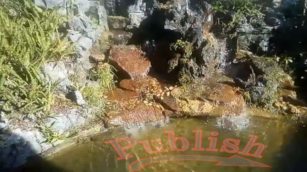 ⁣Sedona Arizona UFO Tours With Talk About Alex Jones Breaking Laws