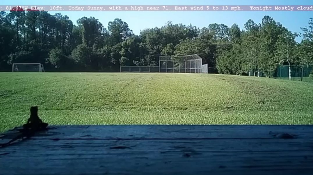 ⁣Publishing House Owner Reports On News Current Events And Parental Child Abductor Crime 2/2!