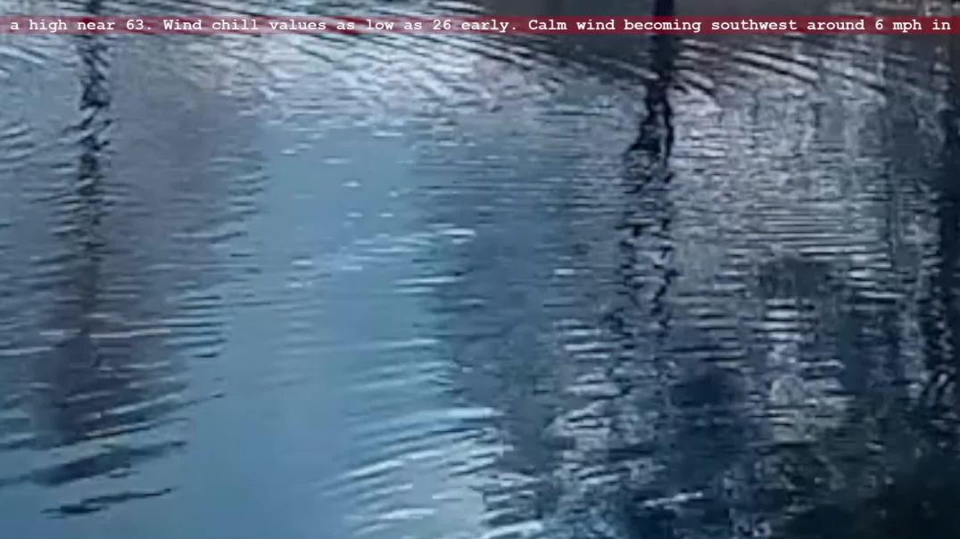 ⁣Defective donald's jewish invader AI malware finds criminal invaders but not our abducted child