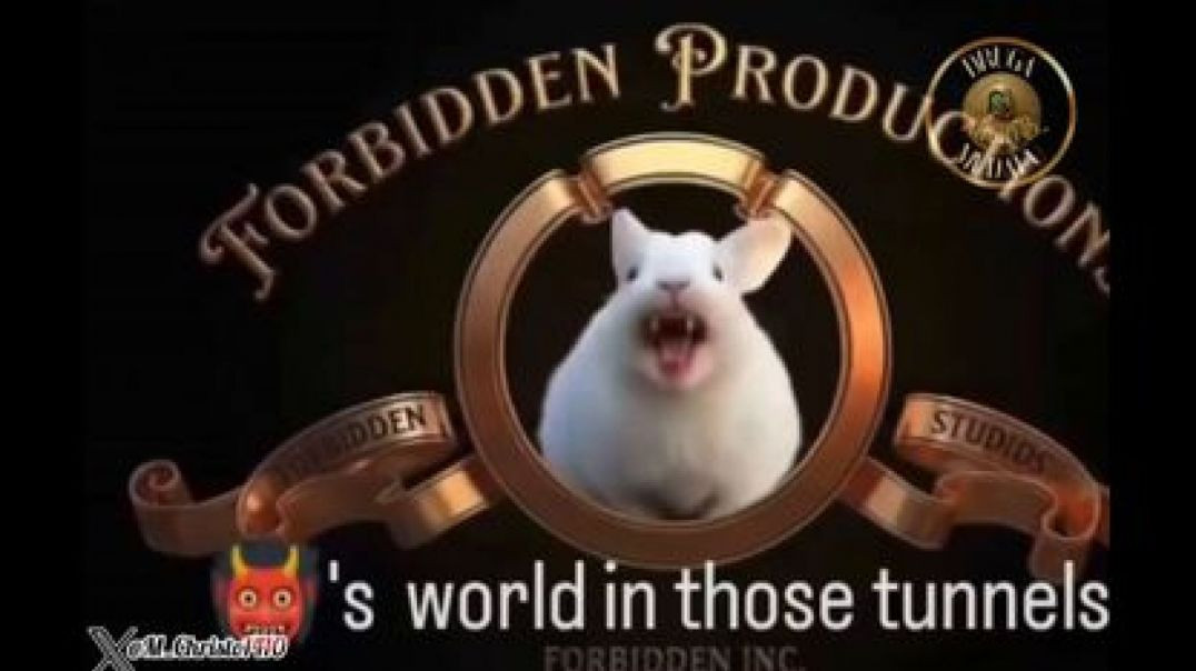 BROOKLYN ₪ TUNNELS