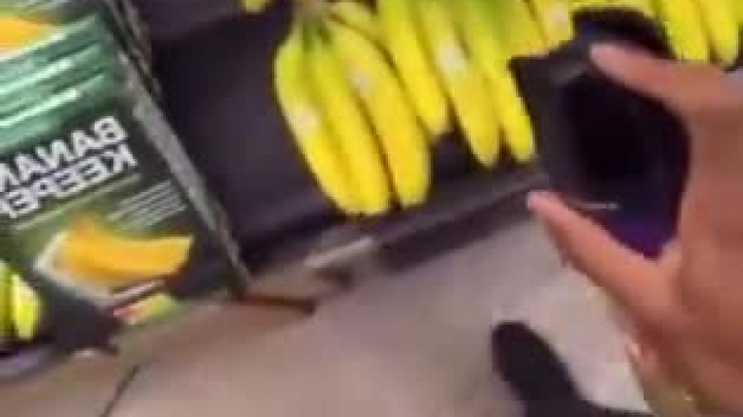 ⁣Eating toxic GMO Walmart food intentionally poisoned by unwanted turd invaders?