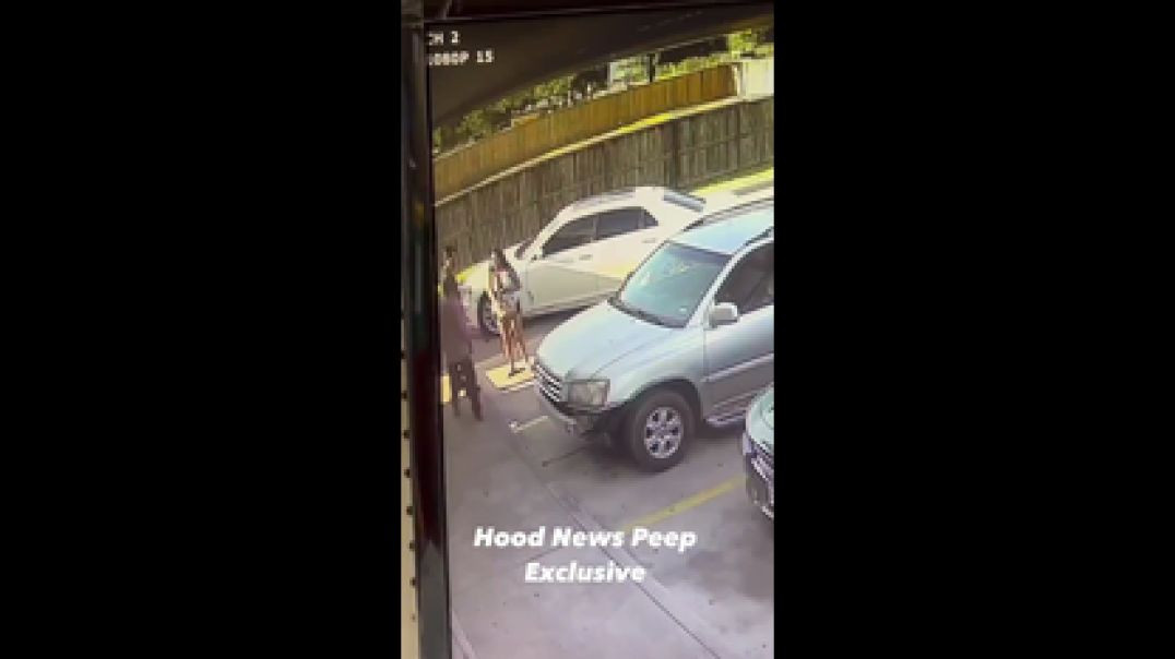 PREGNANT WOMAN YEETS WOULD-BE ROBBER❗