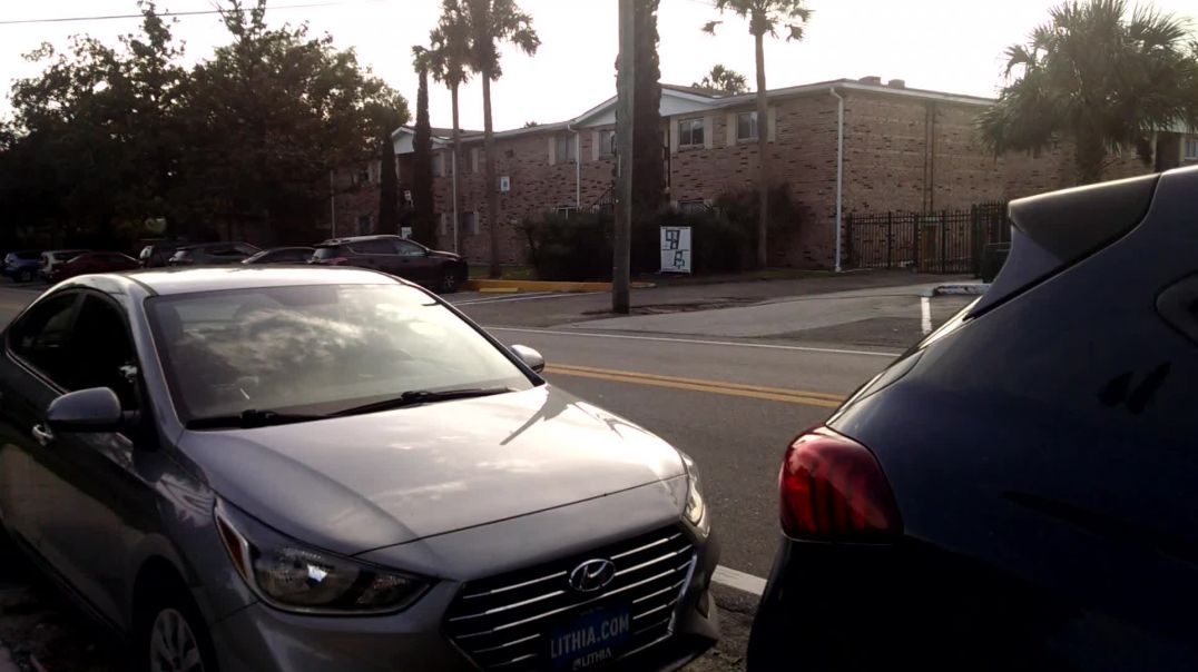 Illegal ongoing taxpayer funded parking for invading shabbos goy medical cartel to attack the US pop