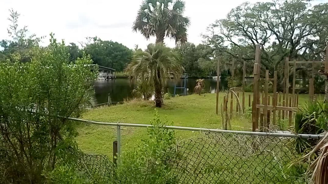 Felon black security police impersonation fraud harasses and intimidates US Florida business