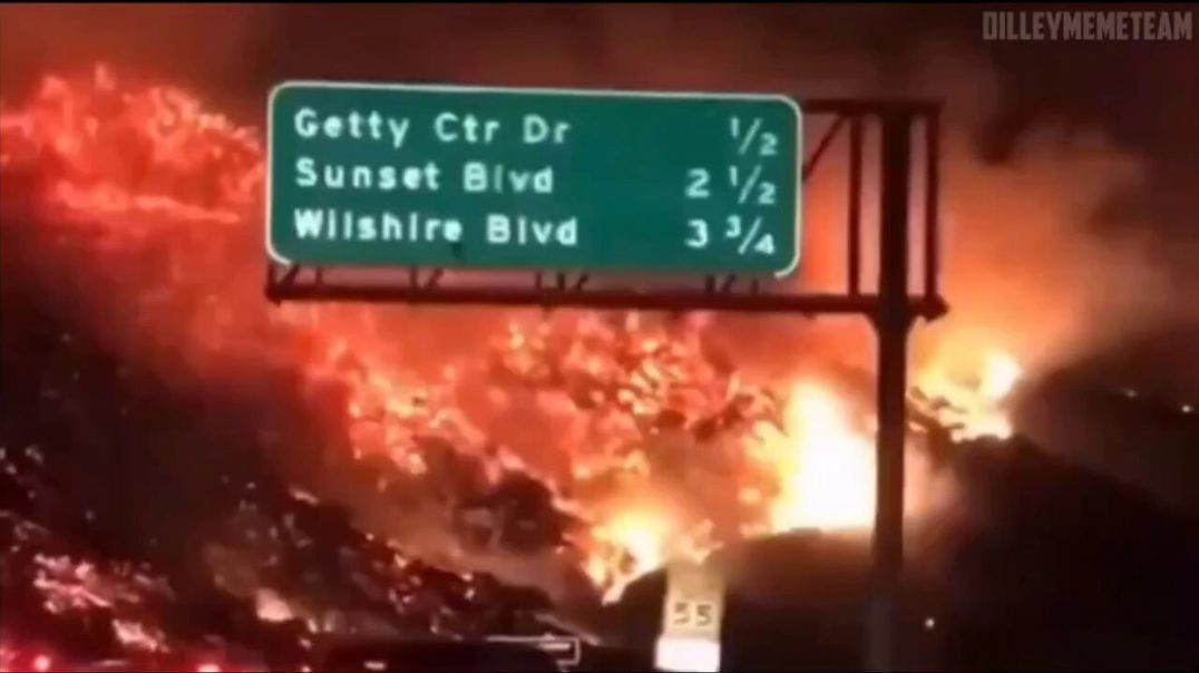 CALIFORNIA SCHEMING❗