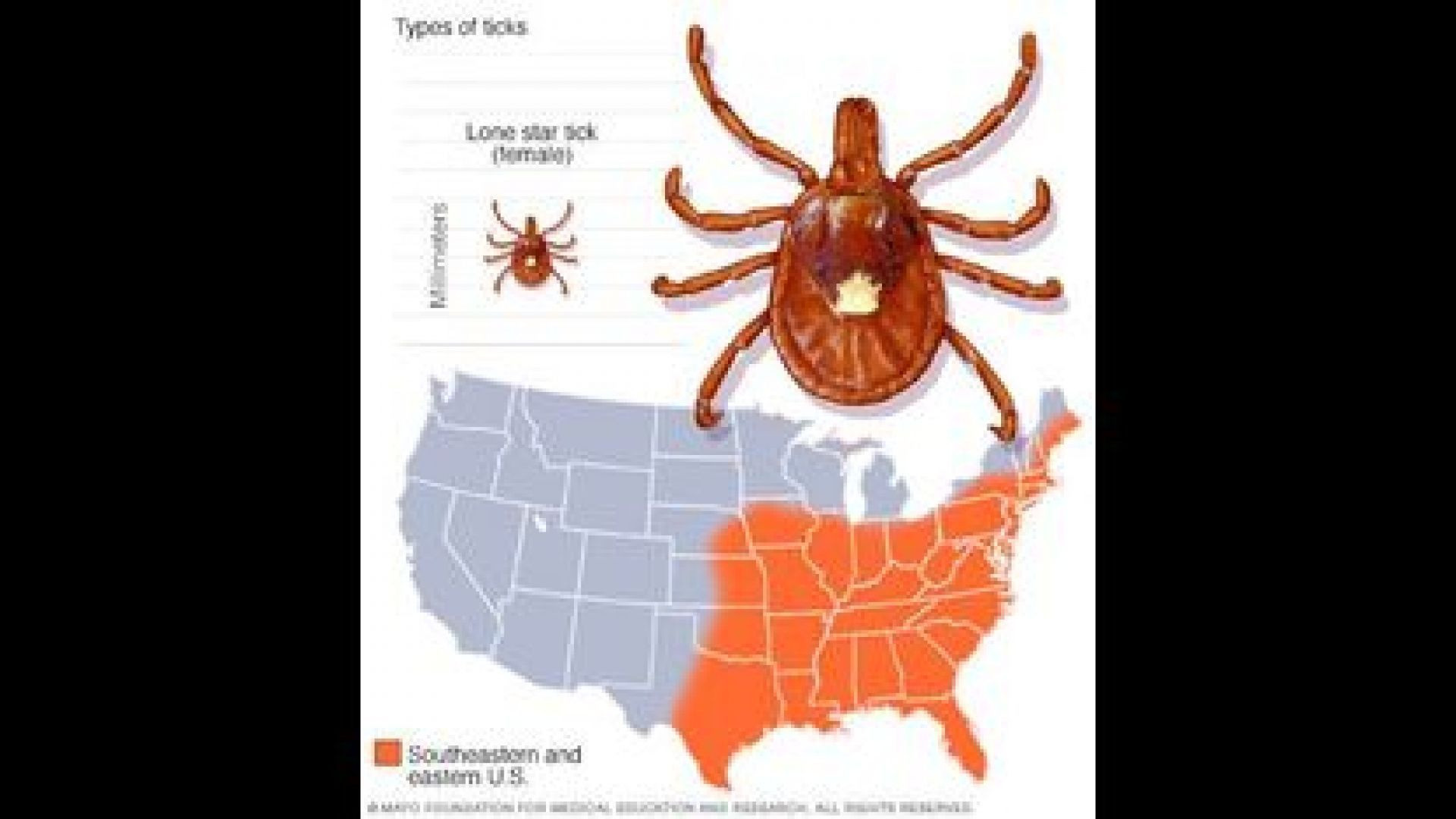 NBC NEWS IS NOW MAKING VIDEOS DEBUNKING THE TICK CONSPIRACY THEORY❗