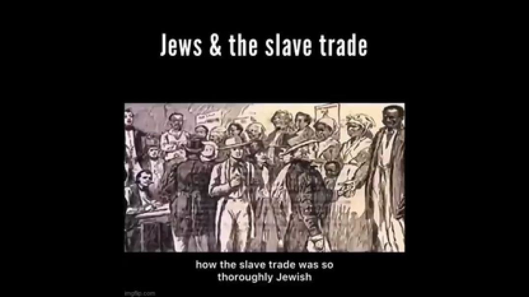 WHITES HAVE BEEN BLAMED FOR THE SLAVE TRADE ₪ WHICH WAS RAN BY THE JEWS