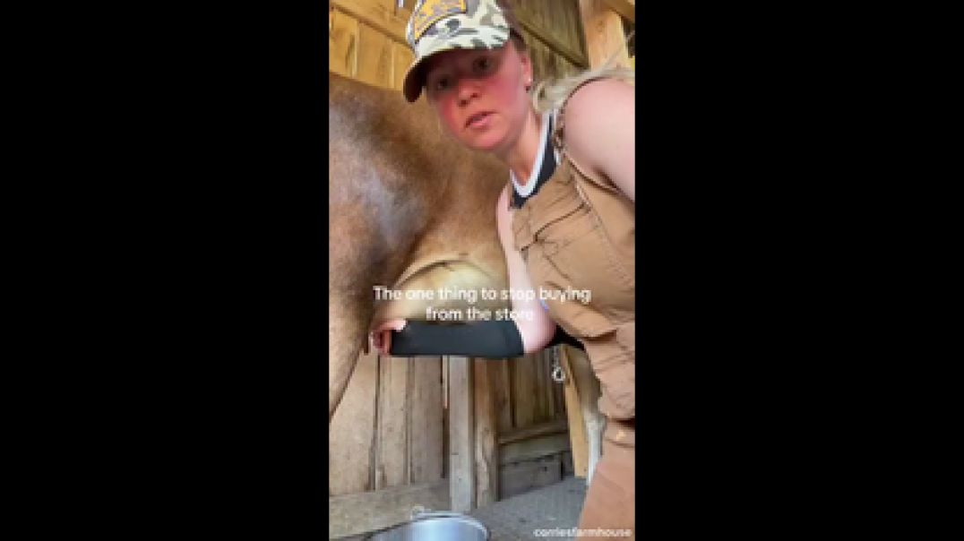 BREAKING NEWSː THE FARMER WHO RAISED TYSON CHICKENS JUST BLEW THE WHISTLE 🐔 WORSE THAN YOU THINK