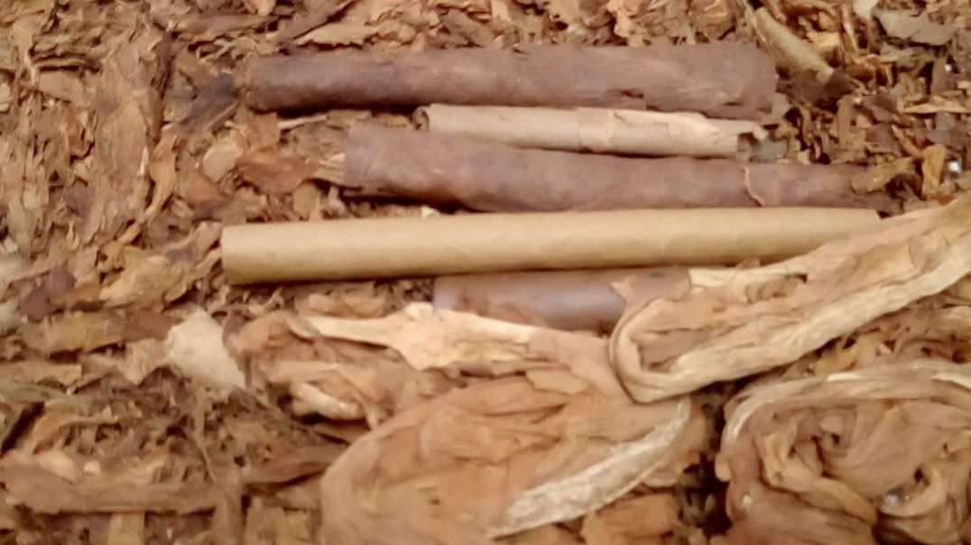 ⁣Publishing House Owner News Variety May 9th 2026 With Tobacco Gifts Part 1 of 2
