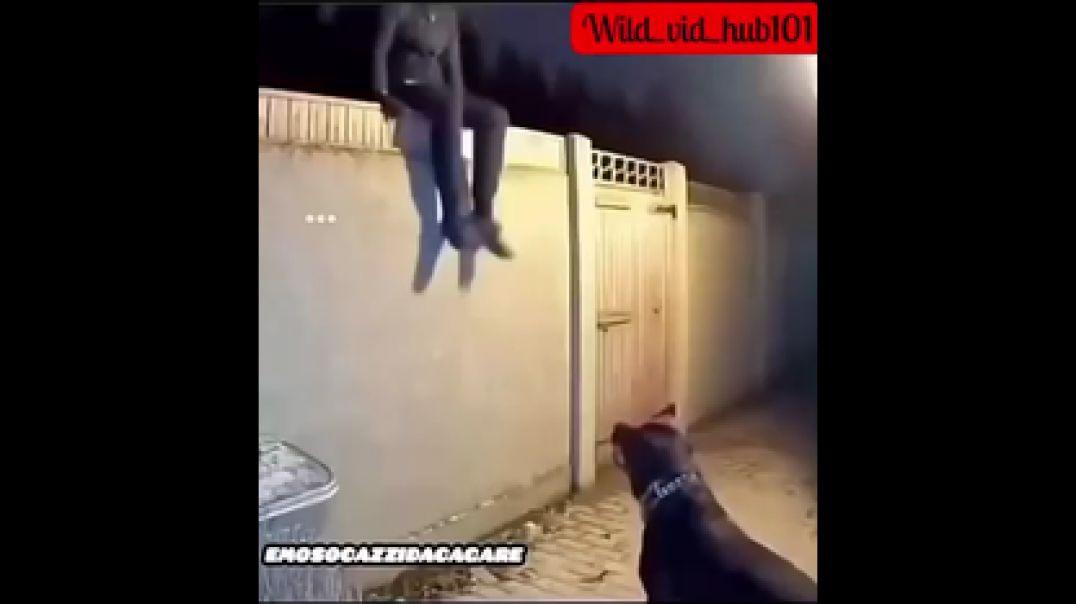 A SLOW MO VERSION OF YOU DONE FCUKED UP NOW❗ [FAFO]
