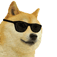 doguinho