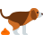 merda