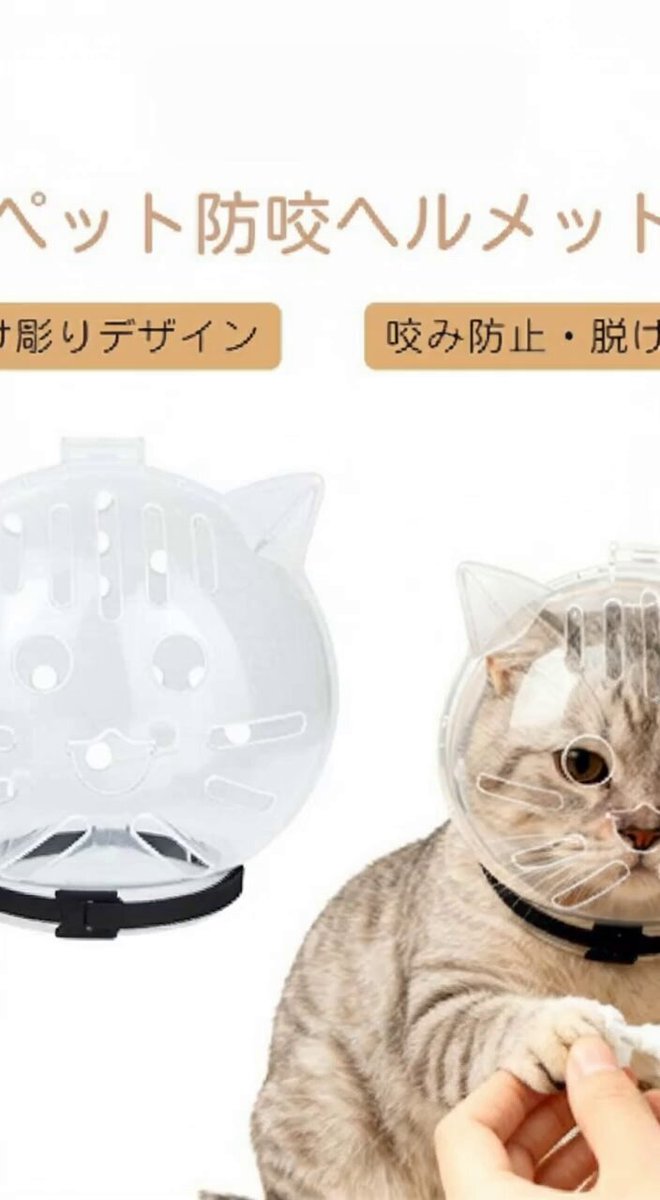 AI Prompt for Animal Image Portraits: Cat Fitting Anti-Bite Muzzle