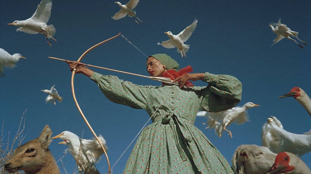 AI Prompt: Dreamlike Cinematic Portrait of Masked Archer with Birds and Animals