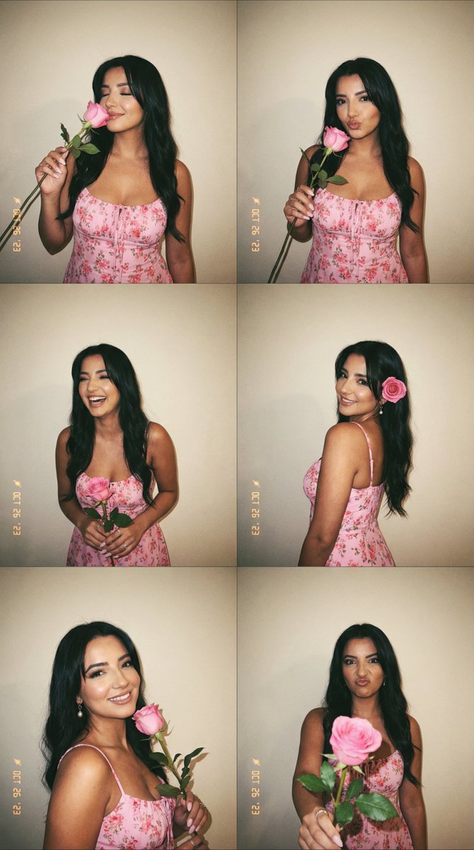 AI Prompt for 6-Panel Photobooth Grid with Pink Dress and Rose