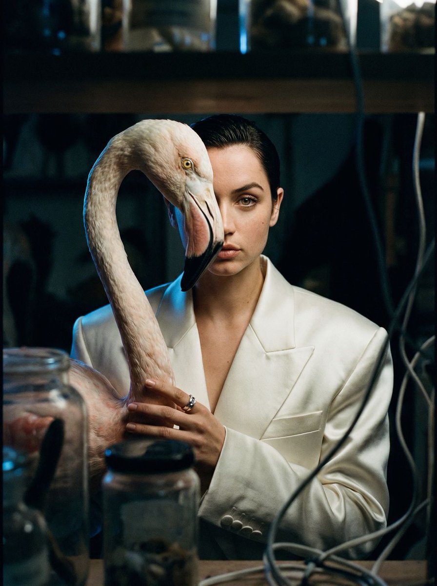 AI Prompt for Surrealist Fashion Photography - Model with Taxidermy Flamingo