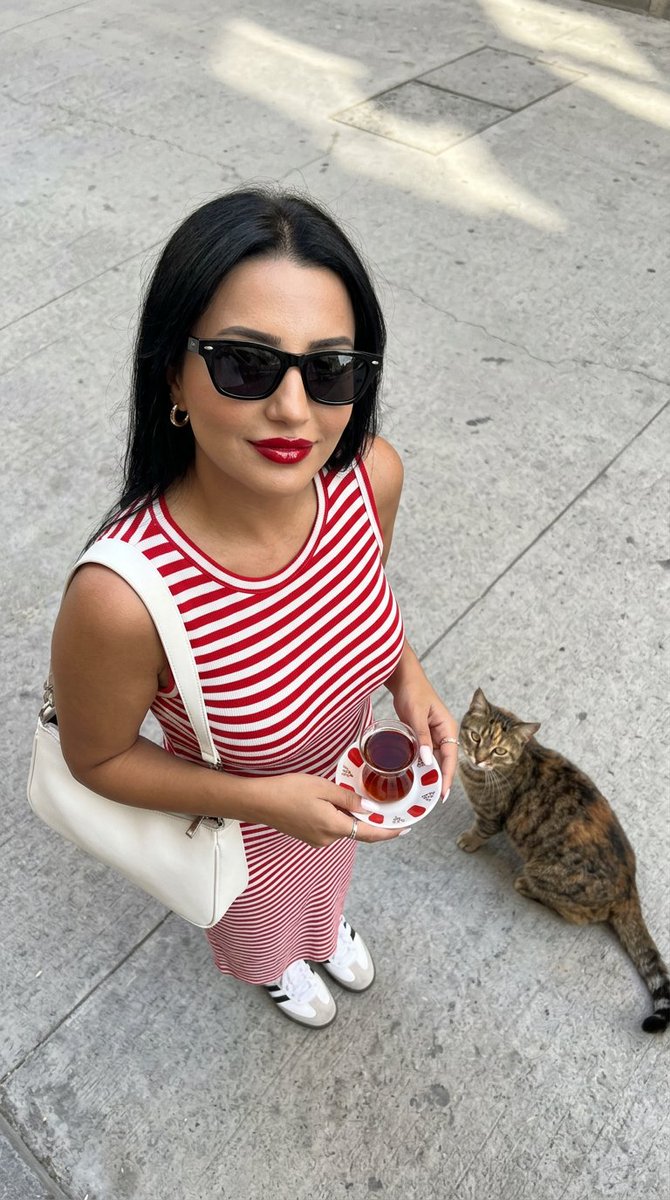 AI Prompt for Urban Photography with Realistic Cat in Istanbul Street Scene