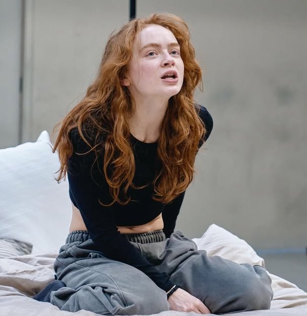 AI Prompt for Sadie Sink Portrait in Calm Intimate Mood