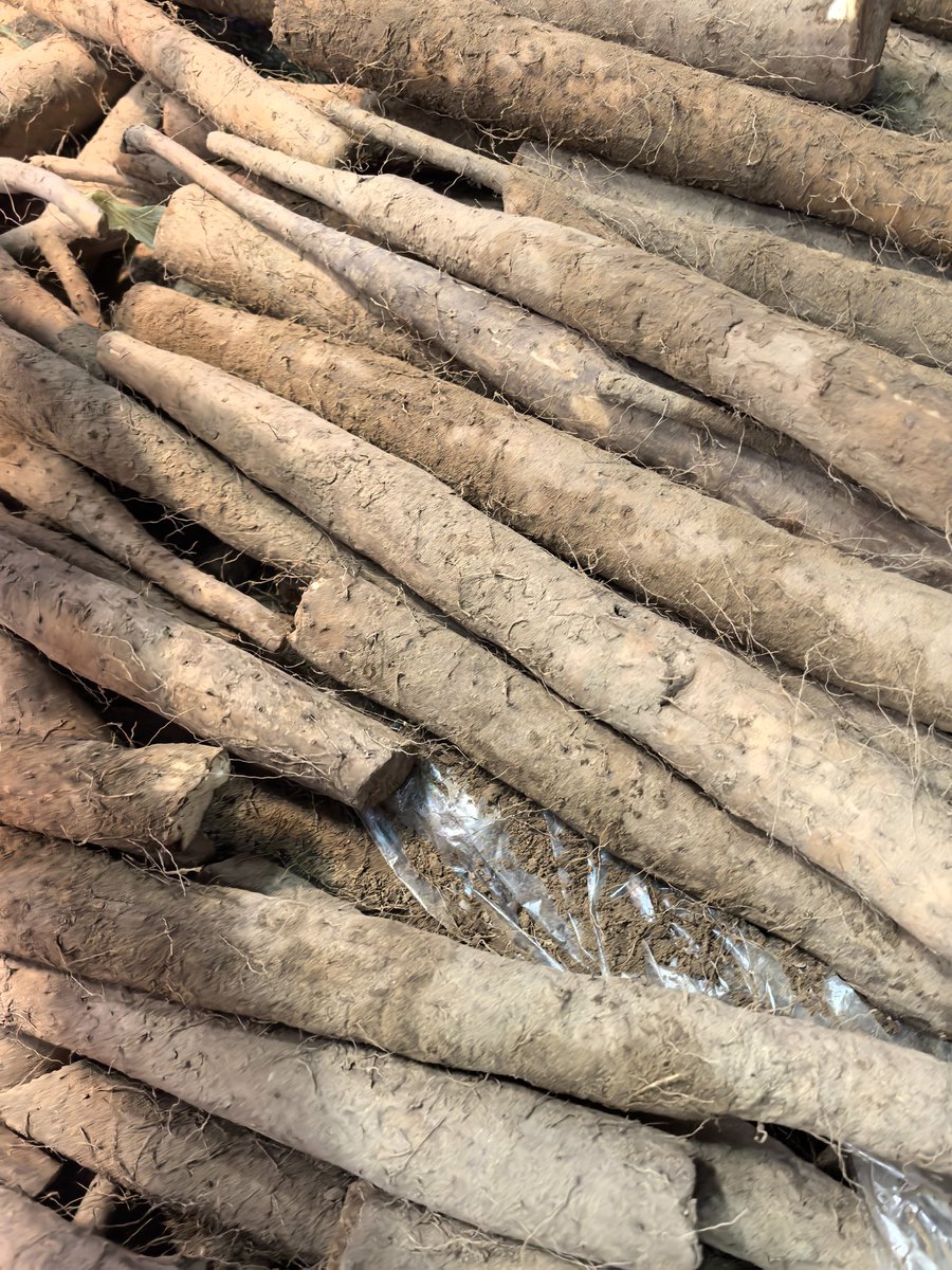 AI Prompt for Creating Minimalist Chinese Yam Product Packaging Design