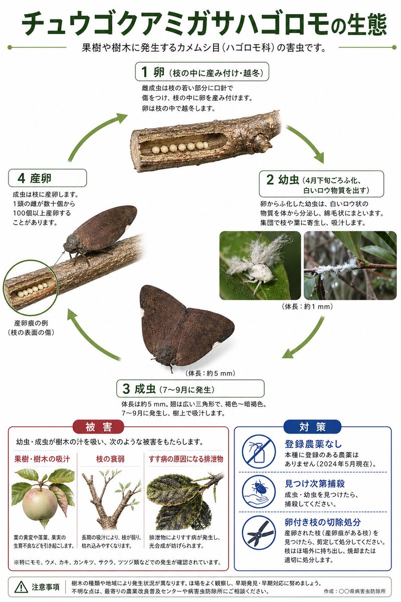 AI Prompt for a Planthopper Pest Infographic Poster