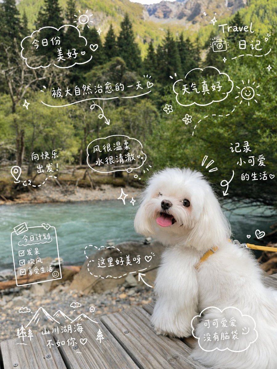 AI Prompt for AI-Generated Travel Diary Photo of Cute Dog in Nature