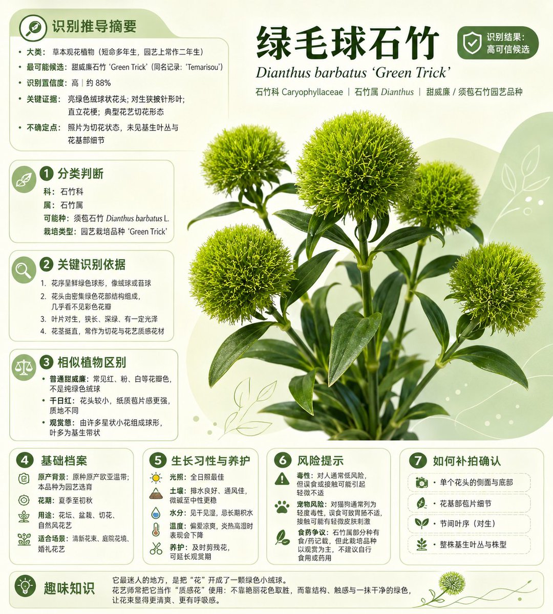 AI Prompt for Chinese Plant Identification Poster