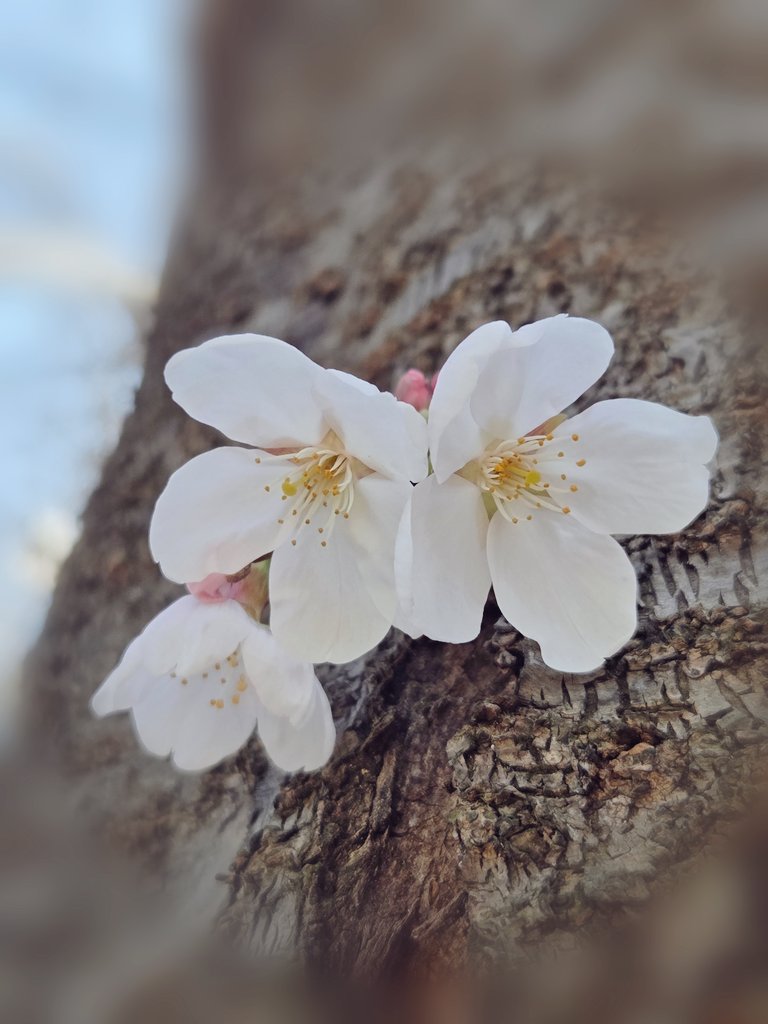 AI Prompt for Nature-Landscape Photography Backgrounds