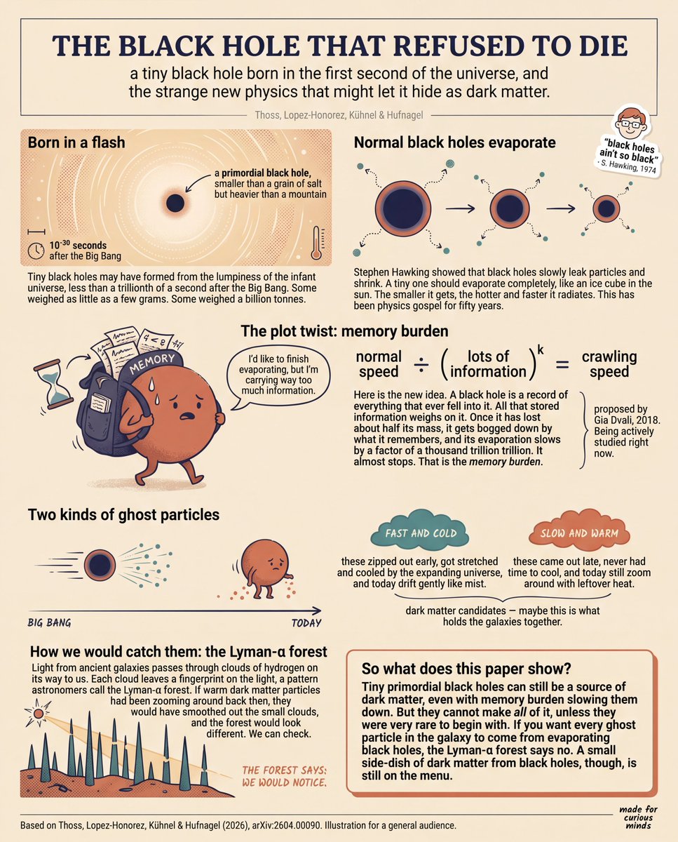 AI Prompt for Science Illustration: Teen-Friendly Black Hole Physics Infographic