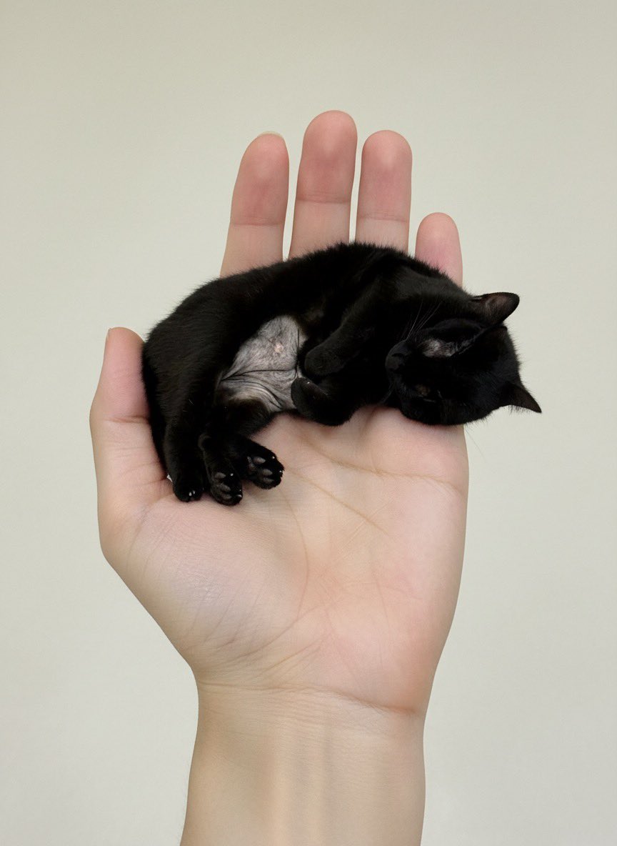 High-Resolution Miniature Pet Portrait Prompt for AI Art Generators