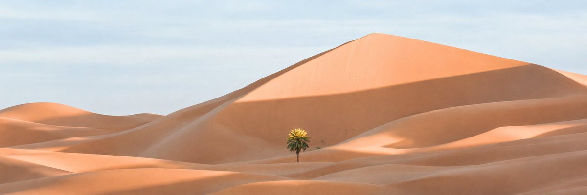 AI Prompt for Ultra-Wide Panoramic Desert Landscape with Lone Palm Tree