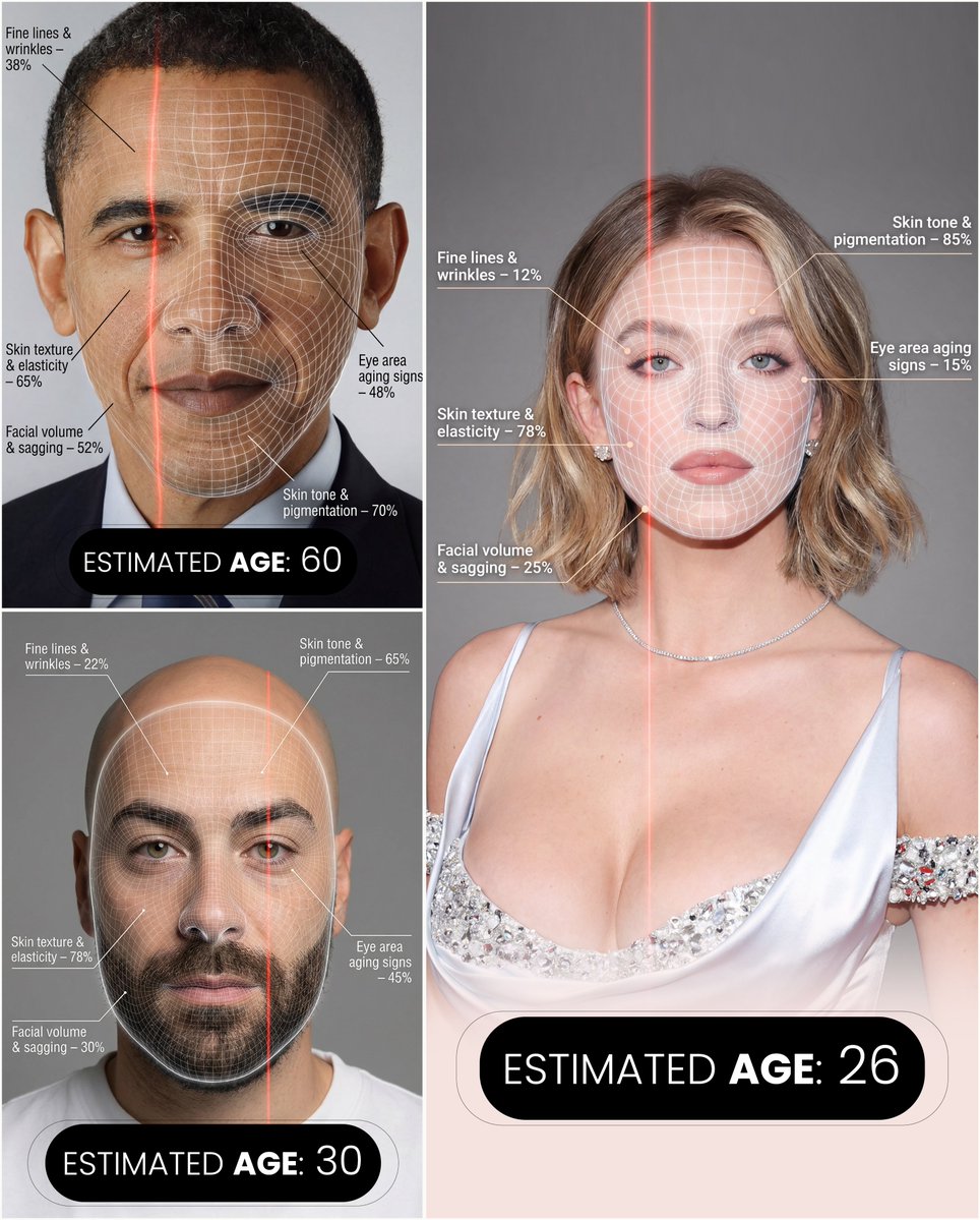 AI Prompt for Advanced Facial Ageing Analysis Infographic Portrait Images