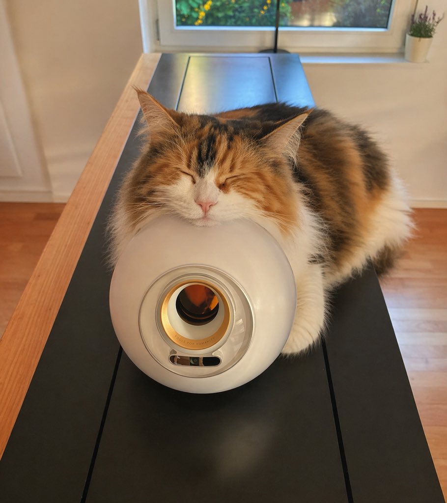 AI Prompt for Cozy Calico Cat on White Device