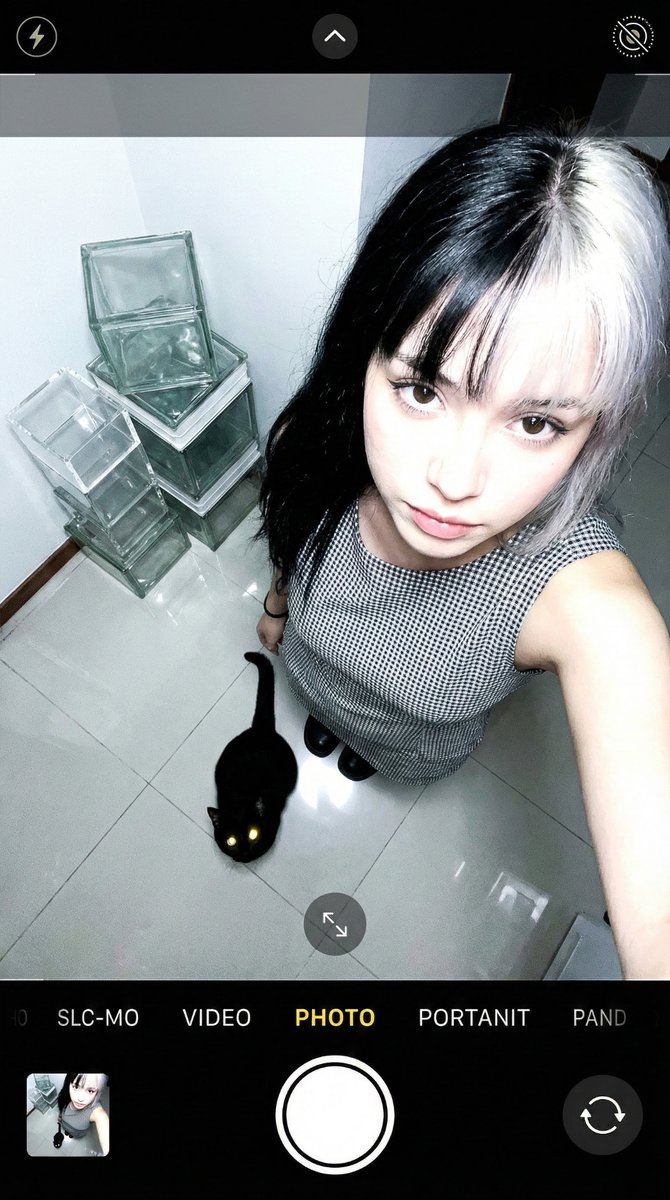AI Prompt for High-Angle Smartphone Selfie with Black Cat