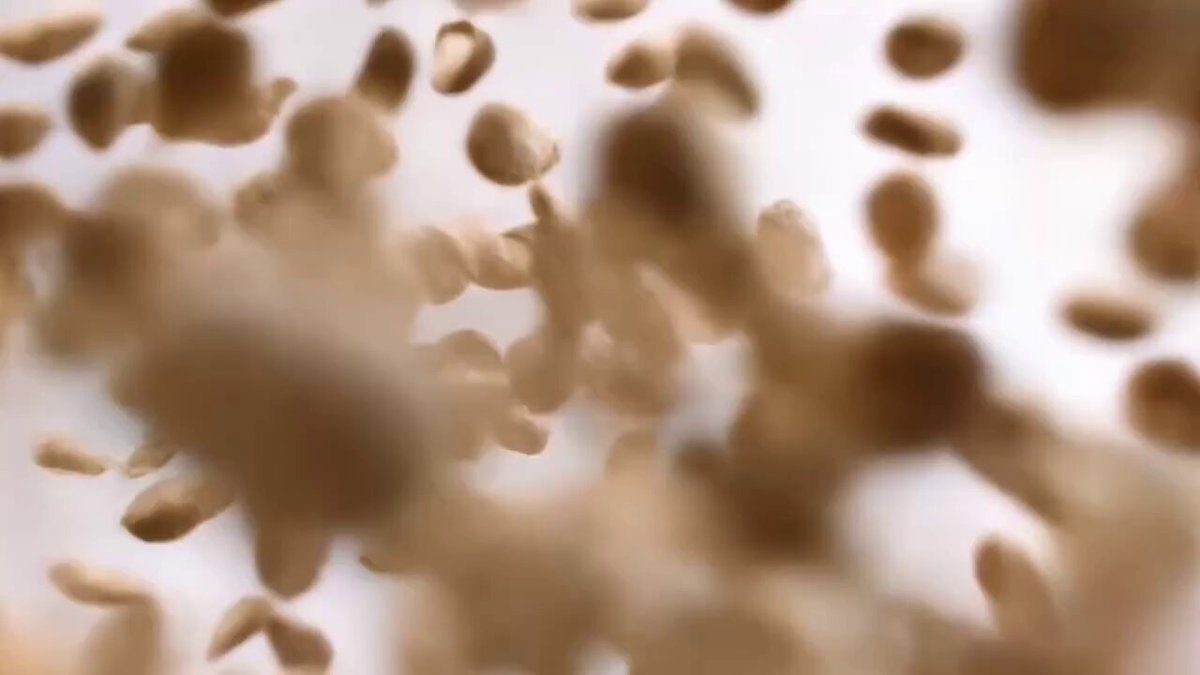 AI Prompt for Hyper-Realistic Pet Food Ad Campaign