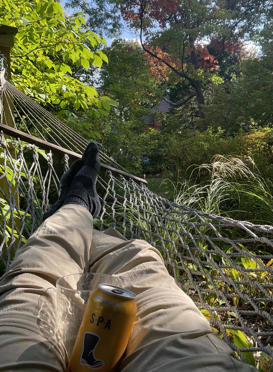 AI Prompt for Imagery of Relaxed Scientist in Hammock