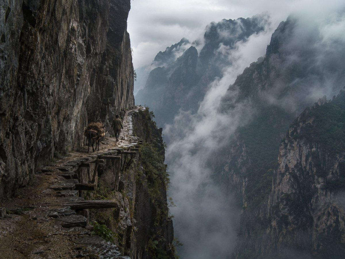 AI Prompt for Realistic Fine Art Landscape Photography of a Hiker and Mule