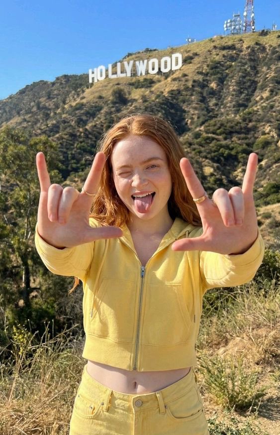 AI Prompt for Realistic Portrait Generation: Sadie Sink in LA Landscape