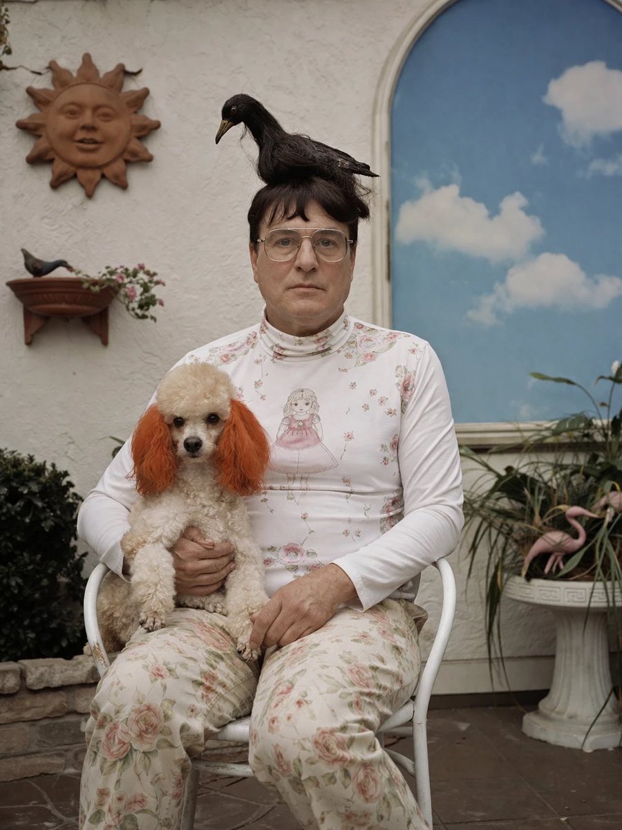 AI Prompt for Surreal Photography Style with Crow & Dog