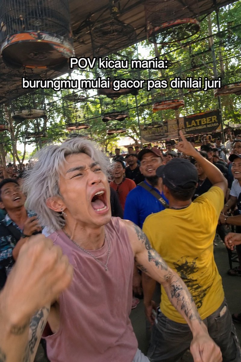 Candid Bird Singing Competition Meme Video