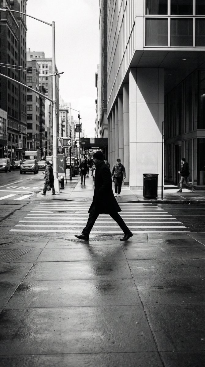 Captivating Shadows: Harmonious Intersection of Form and Line