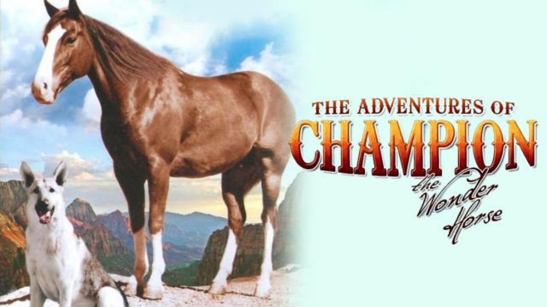 Adventures of Champion - Black Kachina