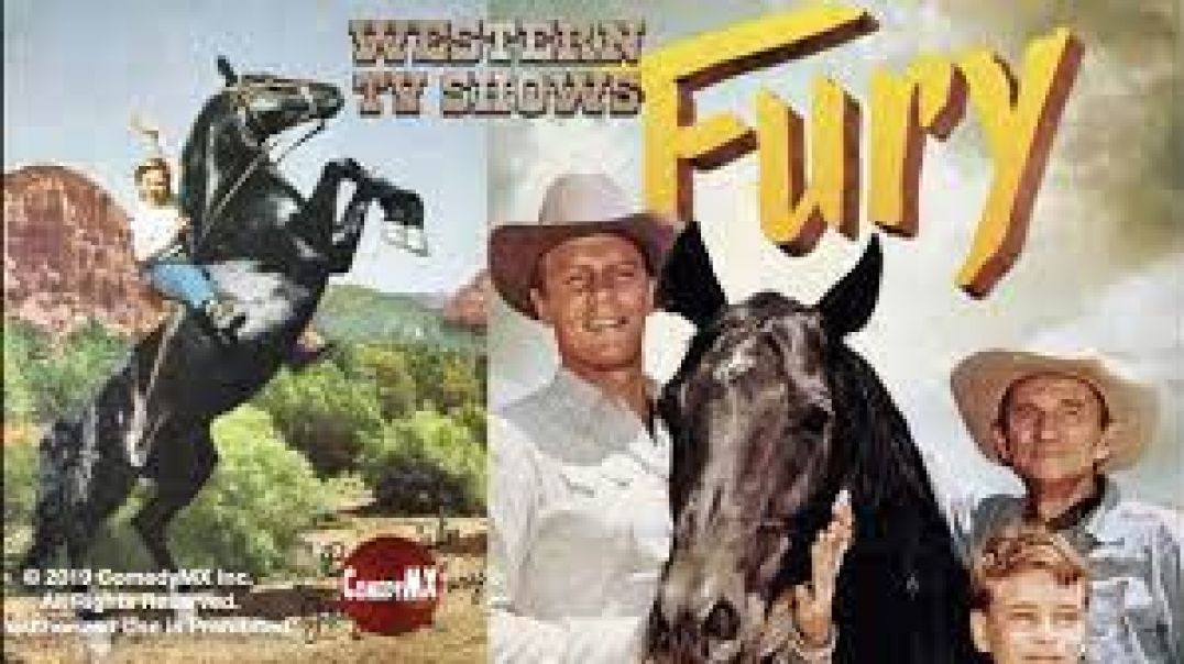 ⁣FURY - The Horse Coper (10/29/1955)